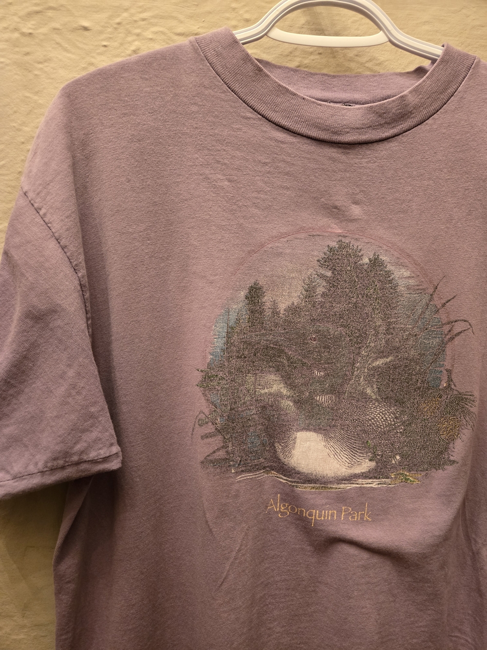 Vintage Distressed Algonquin Park Tee Faded Grunge Nature Shirt Oversized L - Picture 11 of 11